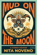 Mud on the Moon