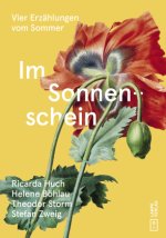 Im Sonnenschein