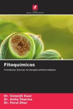 Fitoquímicos