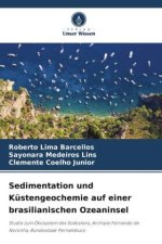 Sedimentation und Küstengeochemie auf einer brasilianischen Ozeaninsel