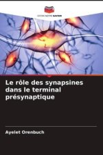 Le rôle des synapsines dans le terminal présynaptique