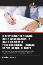 Il trattamento fiscale delle associazioni e delle società a responsabilità limitata senza scopo di lucro