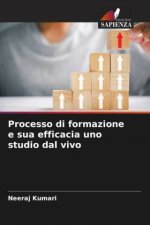 Processo di formazione e sua efficacia uno studio dal vivo