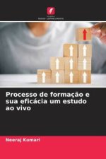 Processo de formação e sua eficácia um estudo ao vivo