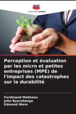 Perception et évaluation par les micro et petites entreprises (MPE) de l'impact des catastrophes sur la durabilité
