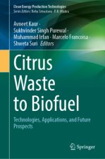 Citrus Waste to Biofuel