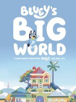 Bluey's Big World
