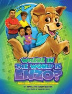 Where in the World is Enzo?