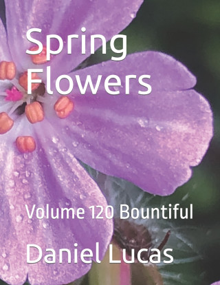 Spring Flowers