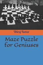 Maze Puzzle for Geniuses