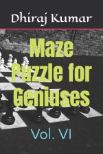 Maze Puzzle for Geniuses