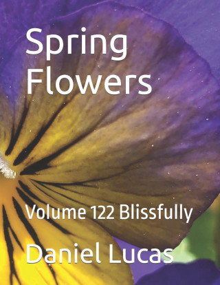 Spring Flowers