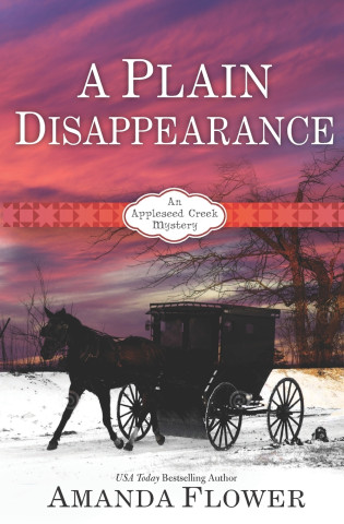 A Plain Disappearance