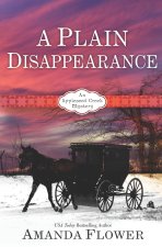 A Plain Disappearance
