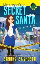 Mystery of the Secret Santa