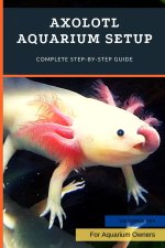 Axolotl Aquarium Setup