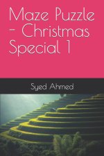 Maze Puzzle - Christmas Special 1