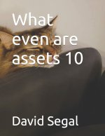 What even are assets 10