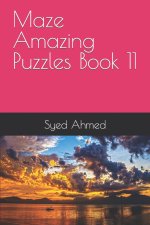Maze Amazing Puzzles Book 11
