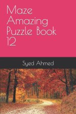 Maze Amazing Puzzle Book 12