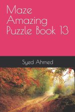 Maze Amazing Puzzle Book 13