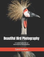 Beautiful Bird Photography