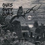 Owls Over Oaks