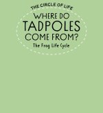 Where Do Tadpoles Come From? The Frog Life Cycle