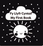 Fy Llyfr Cyntaf / My First Book