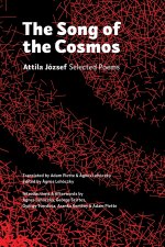 The Song of the Cosmos