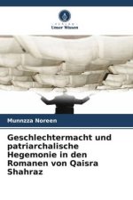Geschlechtermacht und patriarchalische Hegemonie in den Romanen von Qaisra Shahraz