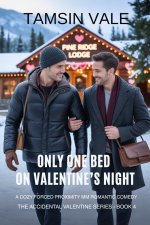 Only One Bed on Valentine's Night
