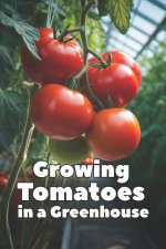Growing Tomatoes in a Greenhouse