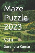 Maze Puzzle 2023