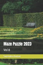 Maze Puzzle 2023