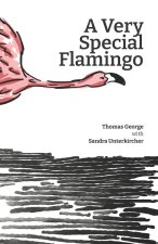 A Very Special Flamingo