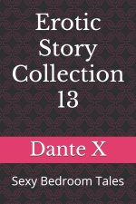 Erotic Story Collection 13