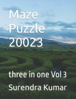 Maze Puzzle 20023
