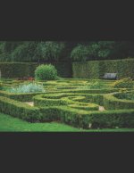 Maze Puzzle 2023