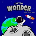 Little Wonder