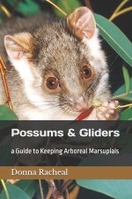 Possums & Gliders