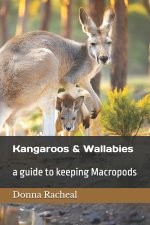 Kangaroos and Wallabies