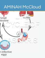 LIFE CYCLE OF AN ASCARIS
