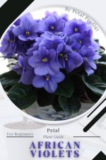 African Violets