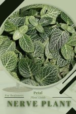 Nerve Plant