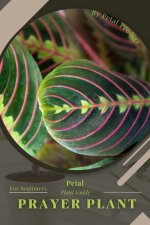 Prayer Plant