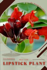 Lipstick Plant