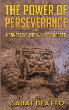 THE POWER OF PERSEVERANCE