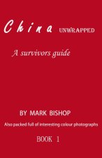 China unwrapped