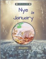 Nye In January
